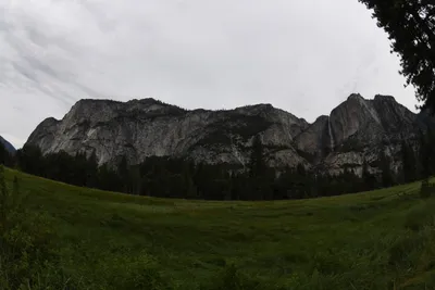 DSC_4659 (Large).JPG